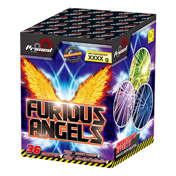Furious Angels